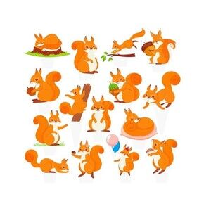 Squirrel Theme Cupcake Toppers Woodland Animal Birthday Party Decorations 48Pcs